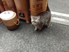 -樱花糕坊(海寿街店)