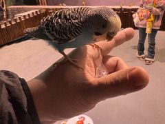 -顺德南宏海立方海洋公园