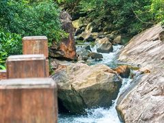 -广州白江湖森林公园