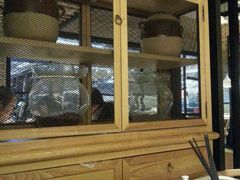 -东园小馆·早茶·淮扬小炒(印象汇店)