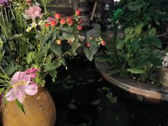 -吃货私房菜(丽江束河古镇店)