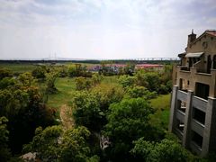 -上海崇明金茂凯悦酒店