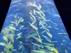-广州海洋馆