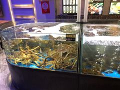 水产区-蟹之国·精品蟹料理(极地店)