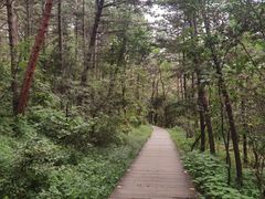 -帽儿山国家森林公园