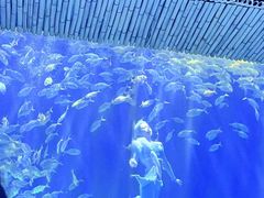 -西安华夏文旅水世界