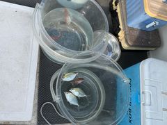 -小猫钓鱼海钓俱乐部(椰梦长廊店)