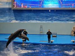 -福州罗源湾海洋世界旅游区