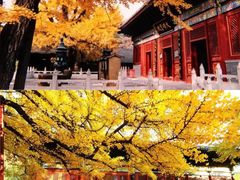 -红螺寺