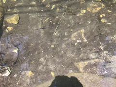 -北京上方山国家森林公园