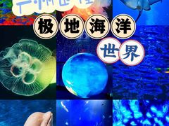 -正佳极地海洋世界