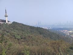 -岳麓山风景名胜区