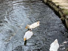 -水磨沟公园