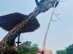 -济南野生动物世界