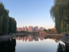 -裕华世纪公园
