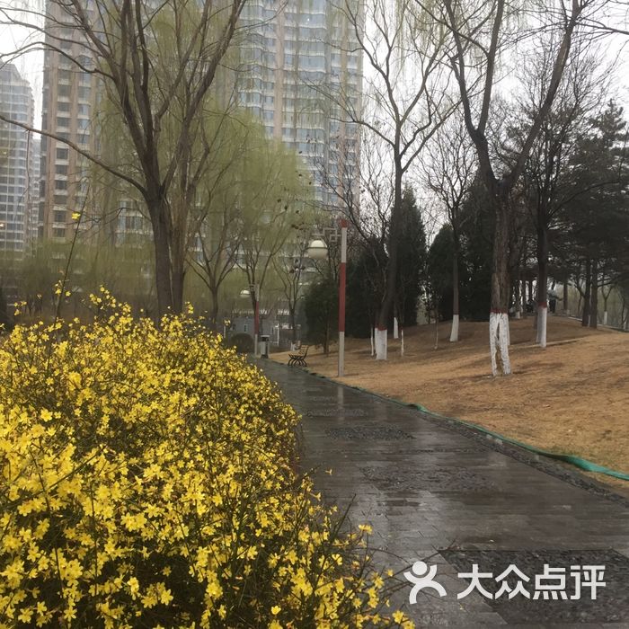 北京学府公园图片