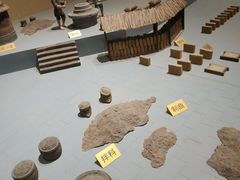 -武汉园博园(武汉自然博物馆)