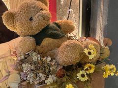 -咖法森林·咖啡  酒吧(天河店)