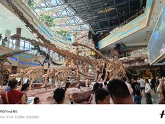 -安徽省地质博物馆