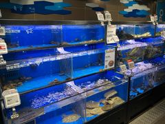 水产区-盒马鲜生(双清路店)