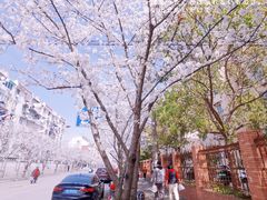 -永乐路-路侧停车场