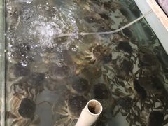 -阳澄湖大闸蟹·琼灵阁牌品牌连锁(吴中总店)
