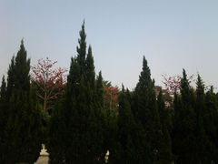 android_upload_pic-仙游革命烈士陵园