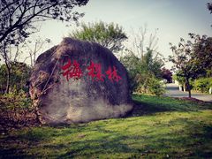 -自然谷恐龙园