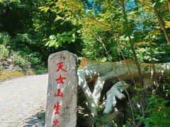 -天女山森林公园