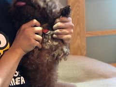 -伽利略剧本探案馆(国贸店)