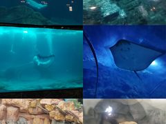 -杭州长乔极地海洋公园