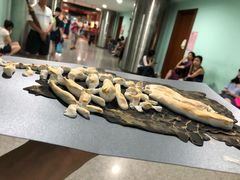 -广州市第二少年宫