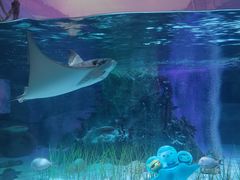 -沈阳海洋探索中心