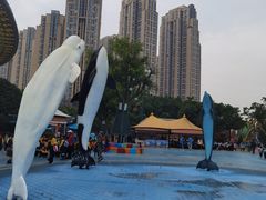 -海合安成都极地海洋公园