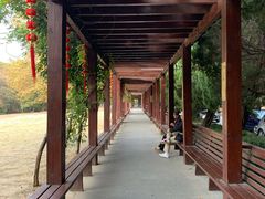 -南京十朝历史文化园-停车场