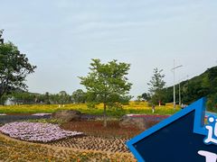 -宁波松兰山滨海旅游度假区