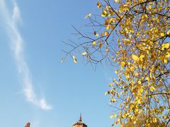 -宝通禅寺