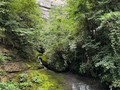 -鹿院坪生态旅游景区