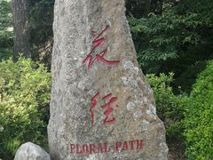 -庐山风景区花径公园