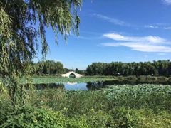 -亲兄弟真人CS团建拓展基地