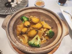 -新雅粤菜馆(南京东路店)