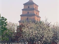 -大慈恩寺(大雁塔)