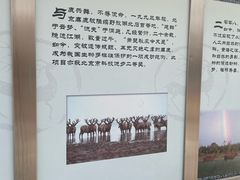 -北京麋鹿生态实验中心