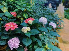 -嬉乐湾休闲旅游区
