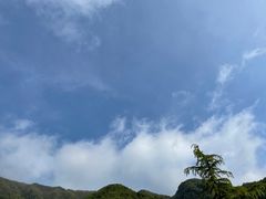 -王顺山国家森林公园