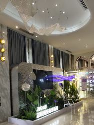 -深圳美莱医疗美容医院