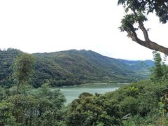 -广州市流溪河国家森林公园