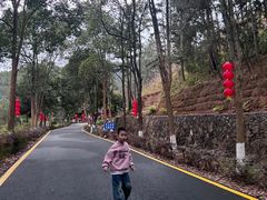 -天台国家森林公园水上茶乡九鹏溪