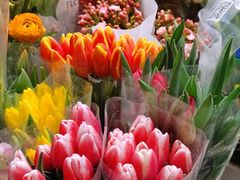 -双季花艺园艺市场(浦东店)