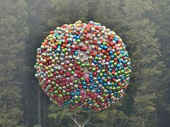 -黄海国家森林公园